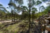 47 Prestidge Lane, Fryerstown, Vic 3451-Image