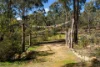 47 Prestidge Lane, Fryerstown, Vic 3451-Image