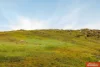 472, Jutland Road, Eden Valley, SA 5235-Image