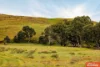 472, Jutland Road, Eden Valley, SA 5235-Image