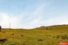 472, Jutland Road, Eden Valley, SA 5235-Image