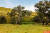 472, Jutland Road, Eden Valley, SA 5235-Image