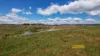 473-475 Burrundulla Road, Mudgee, NSW 2850-Image