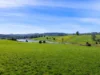 473 West Ridgley Road, West Ridgley, Tas 7321-Image
