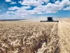 474 Pub Corner Road, Cockaleechie, SA 5631