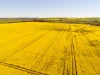 474 Pub Corner Road, Cockaleechie, SA 5631-Image