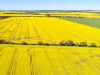 474 Pub Corner Road, Cockaleechie, SA 5631-Image
