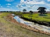 474 Pub Corner Road, Cockaleechie, SA 5631-Image