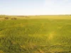 474 Pub Corner Road, Cockaleechie, SA 5631-Image