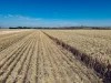 474 Pub Corner Road, Cockaleechie, SA 5631-Image