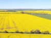 474 Pub Corner Road, Cockaleechie, SA 5631-Image
