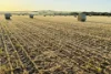 474 Pub Corner Road, Cockaleechie, SA 5631-Image