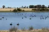 4779 Northwest Road, Dandaragan, WA 6507
