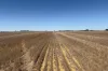 4779 Northwest Road, Dandaragan, WA 6507-Image