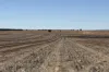 4779 Northwest Road, Dandaragan, WA 6507-Image