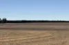 4779 Northwest Road, Dandaragan, WA 6507-Image