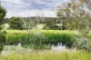 479 Wairewa Road, Wairewa, Vic 3887-Image