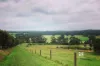 479 Wairewa Road, Wairewa, Vic 3887-Image