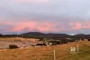 479 Wairewa Road, Wairewa, Vic 3887-Image