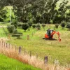 479 Wairewa Road, Wairewa, Vic 3887-Image