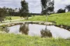 479 Wairewa Road, Wairewa, Vic 3887-Image