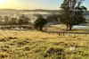 479 Wairewa Road, Wairewa, Vic 3887-Image