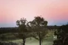 479 Wairewa Road, Wairewa, Vic 3887-Image