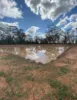 47R Lagoon Creek Road, Minore, NSW 2830-Image
