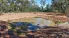 47R Lagoon Creek Road, Minore, NSW 2830-Image