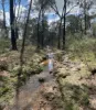 47R Lagoon Creek Road, Minore, NSW 2830-Image