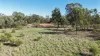 47R Lagoon Creek Road, Minore, NSW 2830-Image
