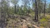 47R Lagoon Creek Road, Minore, NSW 2830-Image