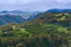 480 Ponsfords Road, Comboyne, NSW 2429