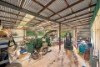 480 Ponsfords Road, Comboyne, NSW 2429-Image