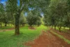 480 Ponsfords Road, Comboyne, NSW 2429-Image