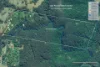 480 Ponsfords Road, Comboyne, NSW 2429-Image