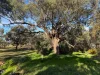 4818 Calder Highway, Kurting, Vic 3517-Image