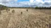 483 Wyreema Athol Road, Athol, Qld 4350-Image
