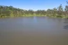 484 Fichera Road, Mareeba QLD 4880-Image