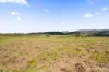 4850 Monaro Highway, Colinton, NSW 2626-Image