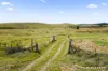 4850 Monaro Highway, Colinton, NSW 2626-Image