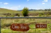 4850 Monaro Highway, Colinton, NSW 2626-Image