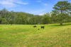 486 North Branch Road, Upsalls Creek, NSW 2439-Image