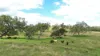 492 North Maclagan Road, Maclagan, Qld 4352-Image