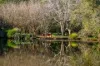 493 Friday Hut Road, Brooklet, NSW 2479-Image