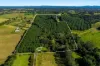 493 Friday Hut Road, Brooklet, NSW 2479-Image