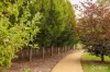 500 Copelands Road, Lillico, Vic 3820-Image