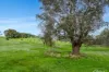 501, Botanic Drive, Inman Valley, SA 5211