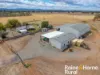 502 Whitton Park Road, Peak Hill, NSW 2869