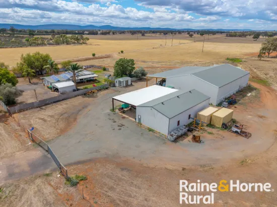 502 Whitton Park Road, Peak Hill, NSW 2869